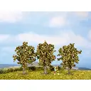 3 pommiers - Noch 25113 - HO - TT - 80 mm