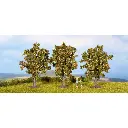 Pack de 3 pommiers Noch 25513 - N1/160 - Z 1/220 - Hauteur 45 mm