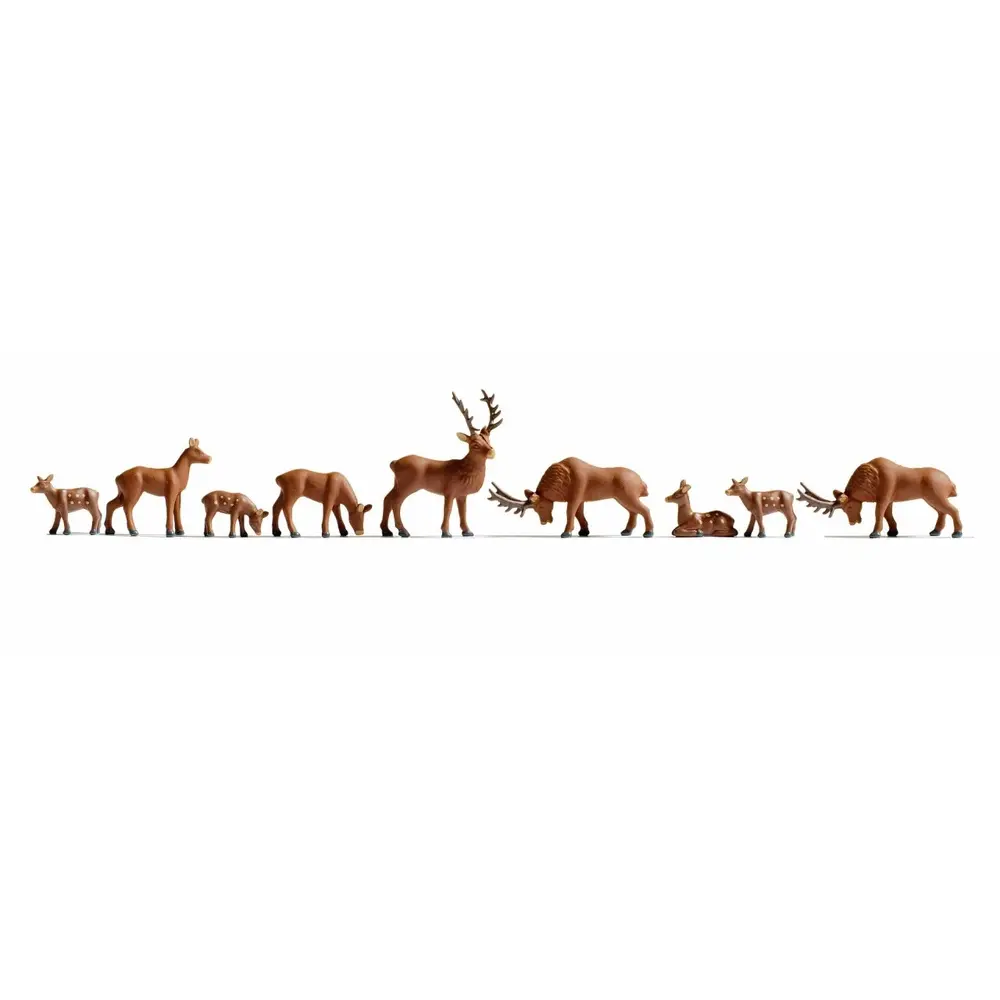 9 cerfs