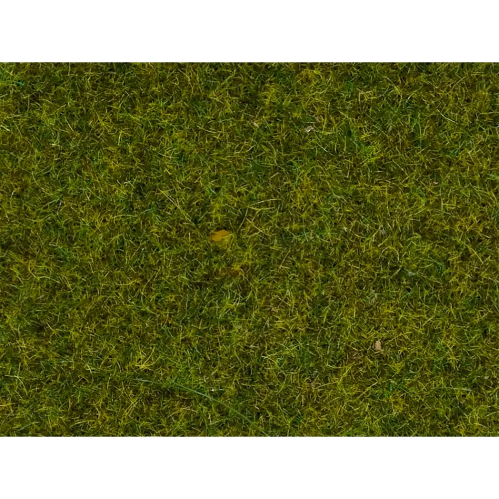 Fibres herbes de pré - Noch 08312 - Toutes échelles - 2,5 mm - 20 g