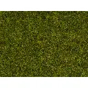 Fibres herbes de pré - Noch 08312 - Toutes échelles - 2,5 mm - 20 g