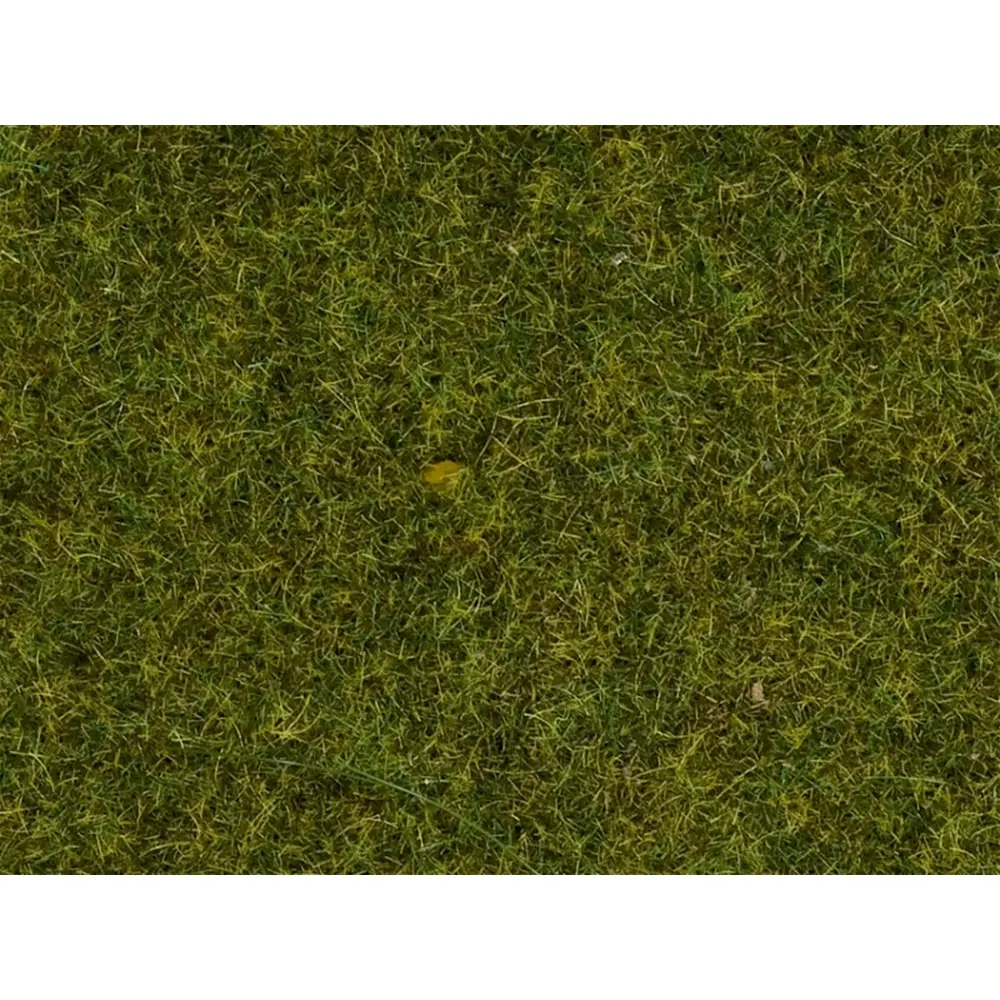Fibres herbes de pré - Noch 08212 - Toutes échelles - 1,5 mm - 20 g