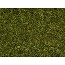 Fibres herbes de pré - Noch 08212 - Toutes échelles - 1,5 mm - 20 g