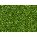 Fibres "gazon d'ornement" 2,5 mm - 20 g - Noch 08314 - HO 1/87