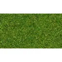 Flocage herbe gazon 20g 1,5mm - Noch 08214 - Échelle universelle