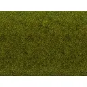 Tapis d'herbe "Gazon de Pré" 1200x600 - NOCH 00265 - Toutes échelles