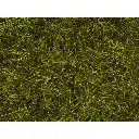 Herbes sauvages XL "pré" - Noch 07110 - Toutes échelles - 12 mm - 40 g