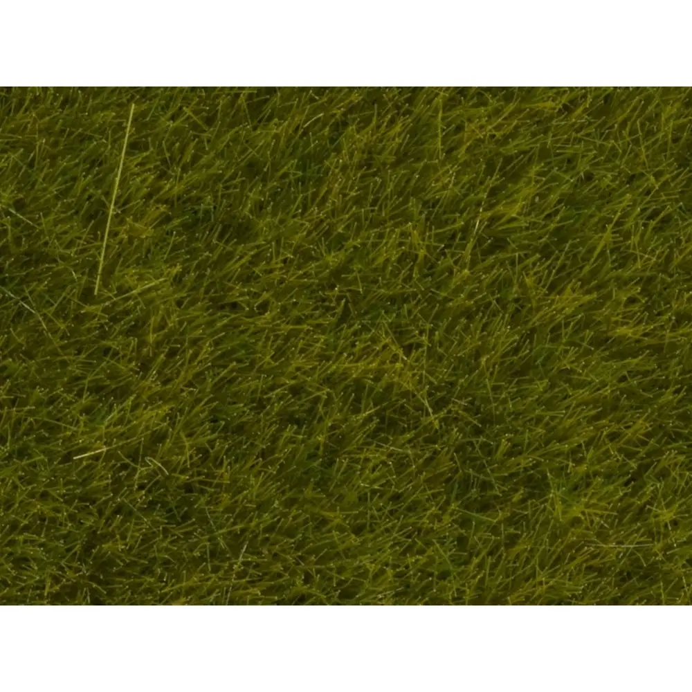 Herbes Sauvages - Noch 07100 - Toutes Echelles