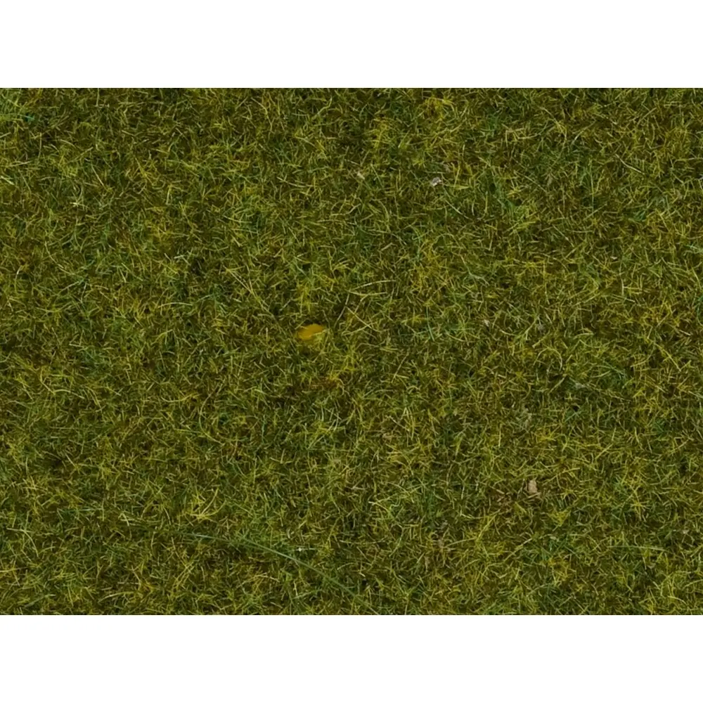 Fibres herbes "prairie" - Noch 08361 - Toutes échelles - 4 mm - 20 g