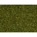 Fibres herbes "prairie" - Noch 08361 - Toutes échelles - 4 mm - 20 g