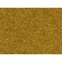 Sachet Herbe Herbe éparse Beige 20g 4mm NOCH 08362 - O - N - Z - HO - TT