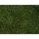 Foliage herbe sauvage  Vert clair/jaune 200x230 mm NOCH 07280 - Universel