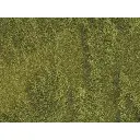 Lot de 2 Tapis "prairie luxuriante" NATUR+ NOCH 07470 - HO 1/87 - 250 x 250 mm