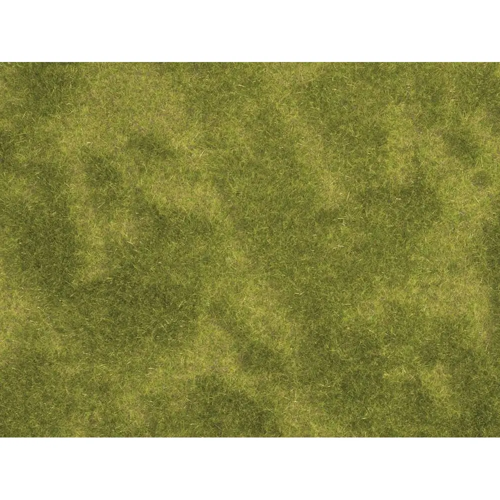 Lot de 2 Tapis "prairie inondable" Natur+ NOCH 07471 - HO 1/87 - 250 x 250 mm