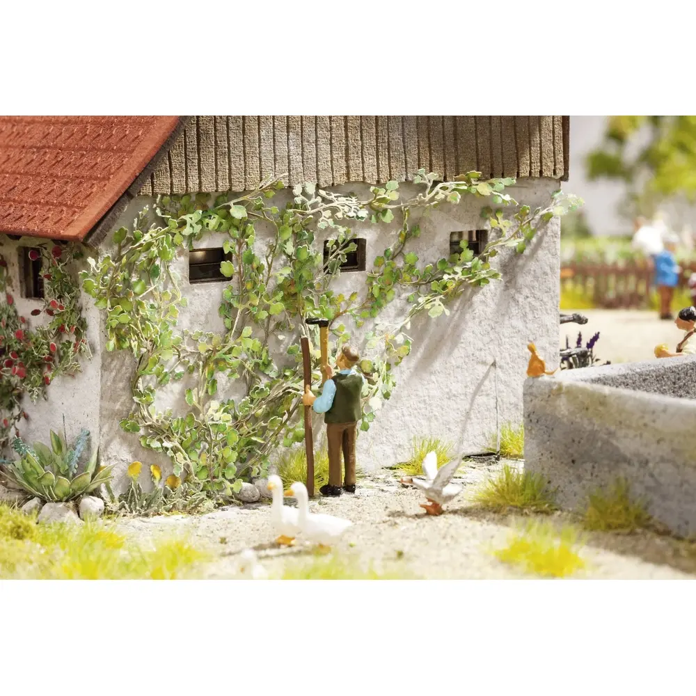 Une vigne sauvage / 12 plants - NOCH 14132 - HO 1/87