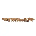 Lot de 6 vaches brunes et 1 veau - NOCH 15727 - HO 1/87
