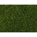 Tapis d'herbe de prairie vert moyen 200x230 mm NOCH 07291 - Toutes échelles