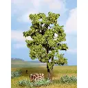 Arbre Acacia - Noch 21660 - HO / O / TT / N