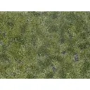 Feuille/tapis herbe 120 x 180 mm vert olive NOCH 07251 - HO 1/87 - Détaillé