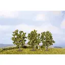 Pack de 3 arbres Noch 25510 - N 1/160 - Z 1/220 - Hauteur 45 mm