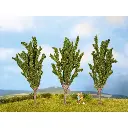 Pack de 3 peupliers Noch 25525 - N1/160 - Z 1/220 - Hauteur 55 mm