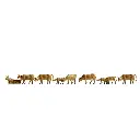 Pack de 9 animaux, vaches et veaux NOCH 36722 - N : 1/160