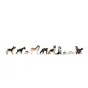 Pack de 9 chiens NOCH 36717 - N : 1/160
