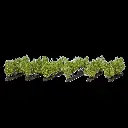 24 pieds de vigne - NOCH 21540 - HO 1/87e