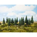 Lot de 6 sapins - NOCH 24642 - O, HO & TT | 140 à 180 mm