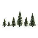 Pack de 10 épicéas miniatures de 5 à 14 cm de haut - Noch 26925 - HO | TT