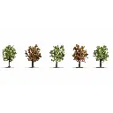 Pack de 5 arbres fruitiers Noch 25615- HO | TT | N | Z - hauteur 80 mm