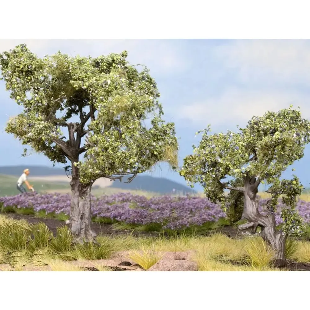 Pack 2 Oliviers - NOCH 21995 - HO | TT - Arbres pour Diorama