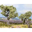 Pack 2 Oliviers - NOCH 21995 - HO | TT - Arbres pour Diorama