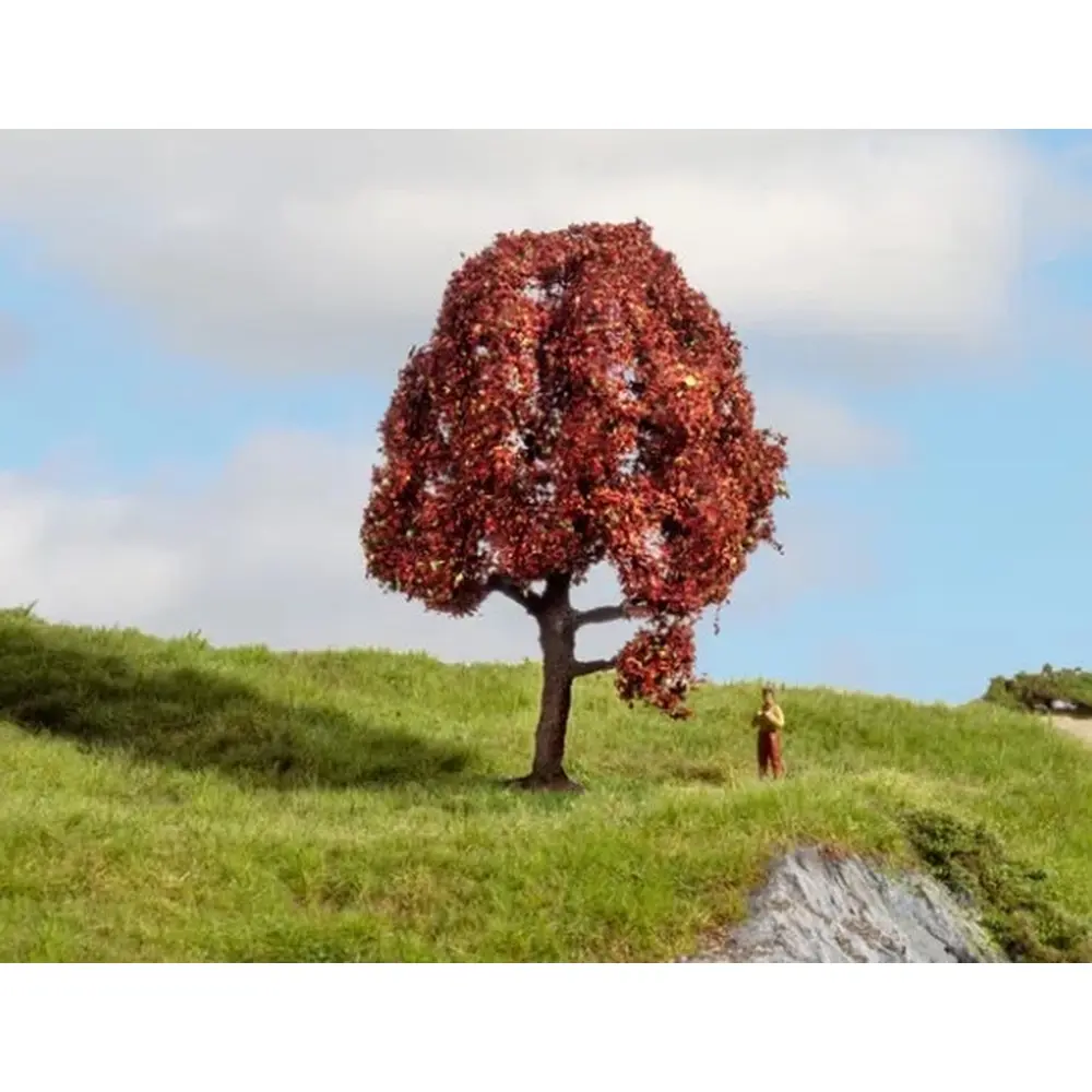 Arbre Hêtre pourpre - NOCH 20151