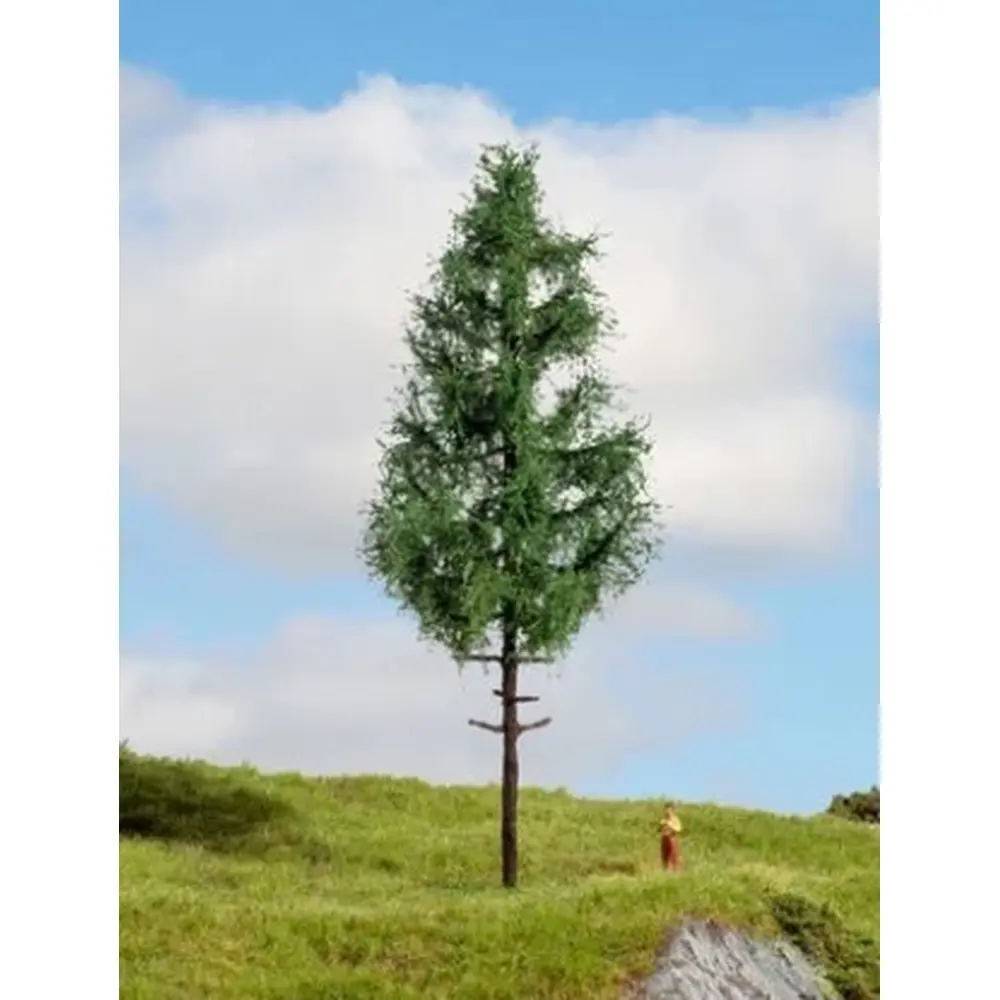 Épicéa à tronc élevé - NOCH 20196