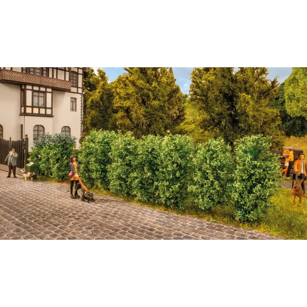 Haie de Thuyas - Noch 21547 - HO/TT/N