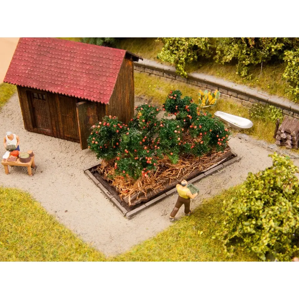Plants de tomates - Noch 13215 - HO 1/87
