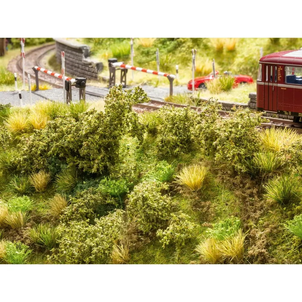 Végétation des talus - Noch 23102