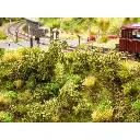 Végétation des talus - Noch 23102