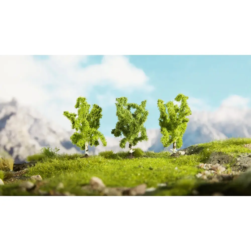 Bouleaux - Noch 25120 - HO - TT