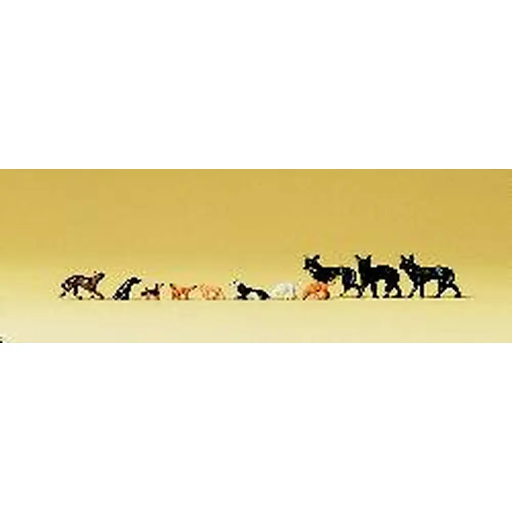 Chiens