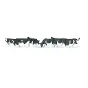 Lot de 6 vaches noires tachetées PREISER 79228 N 1/160