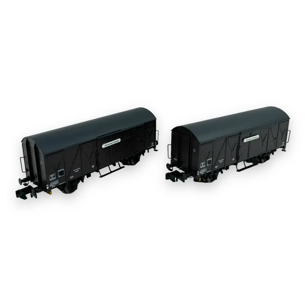 Coffret de 2 wagons couverts Kv "Provence Express" - Arnold HN6571 - N 1/160 - SNCF - Ep III - 2R