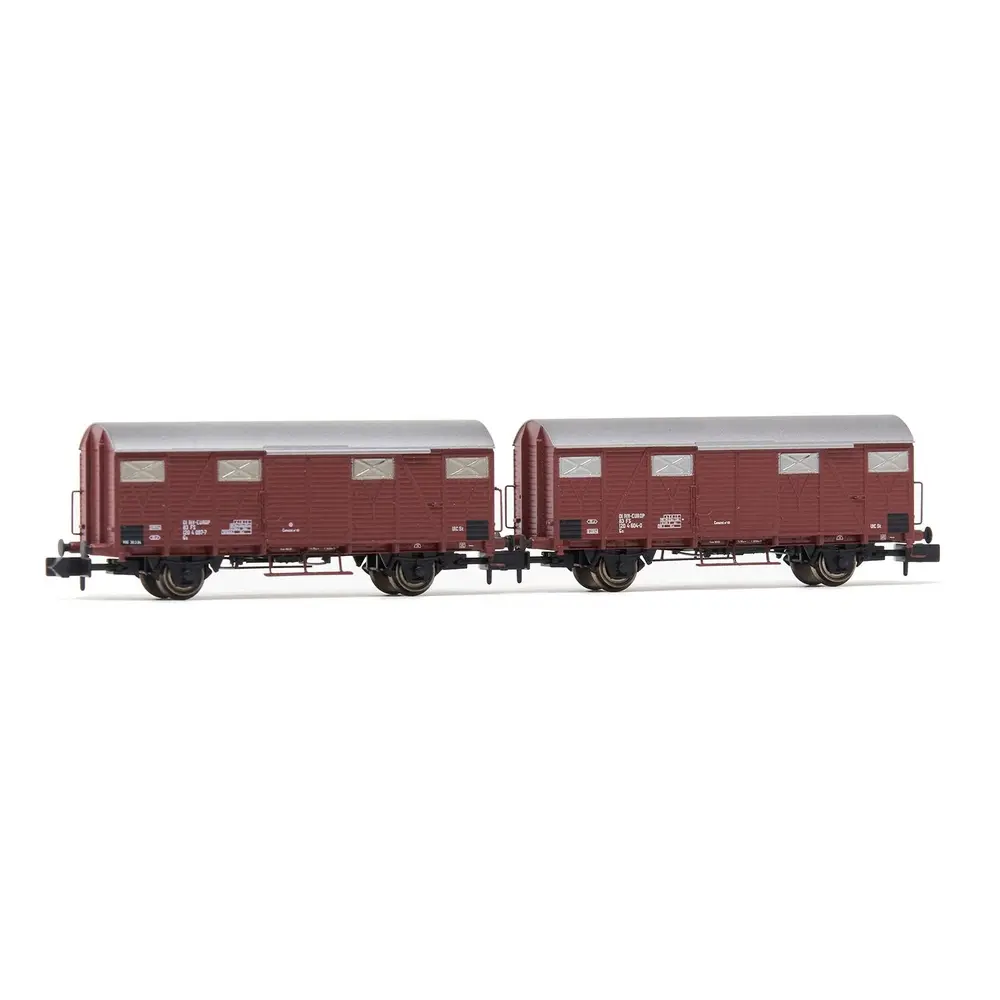 Coffret de 2 wagons couverts Gs - Arnold HN6574 - N 1/160 - FS - EP IV