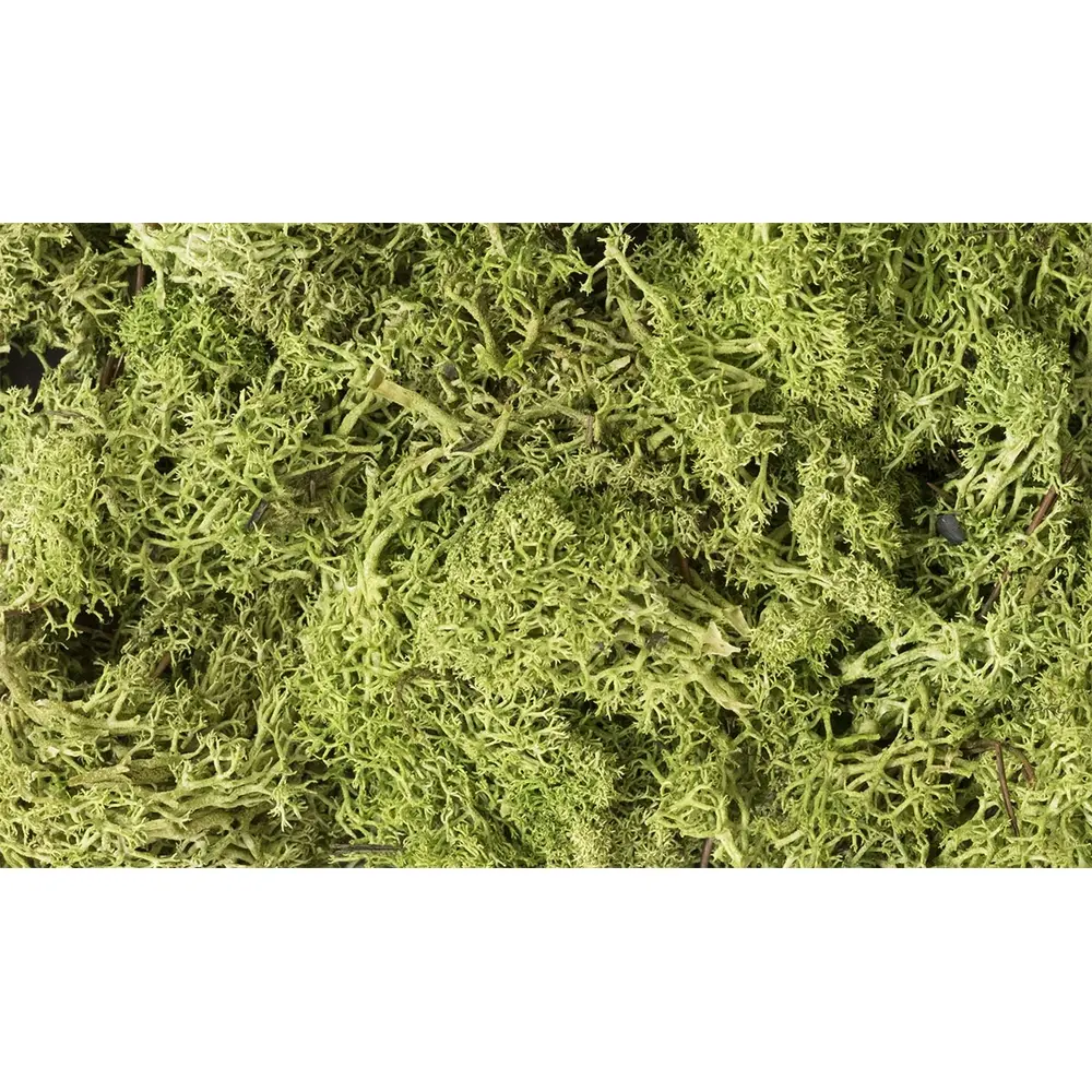 Mousse lichen vert clair - Woodland Scenics L162 - 1,4L
