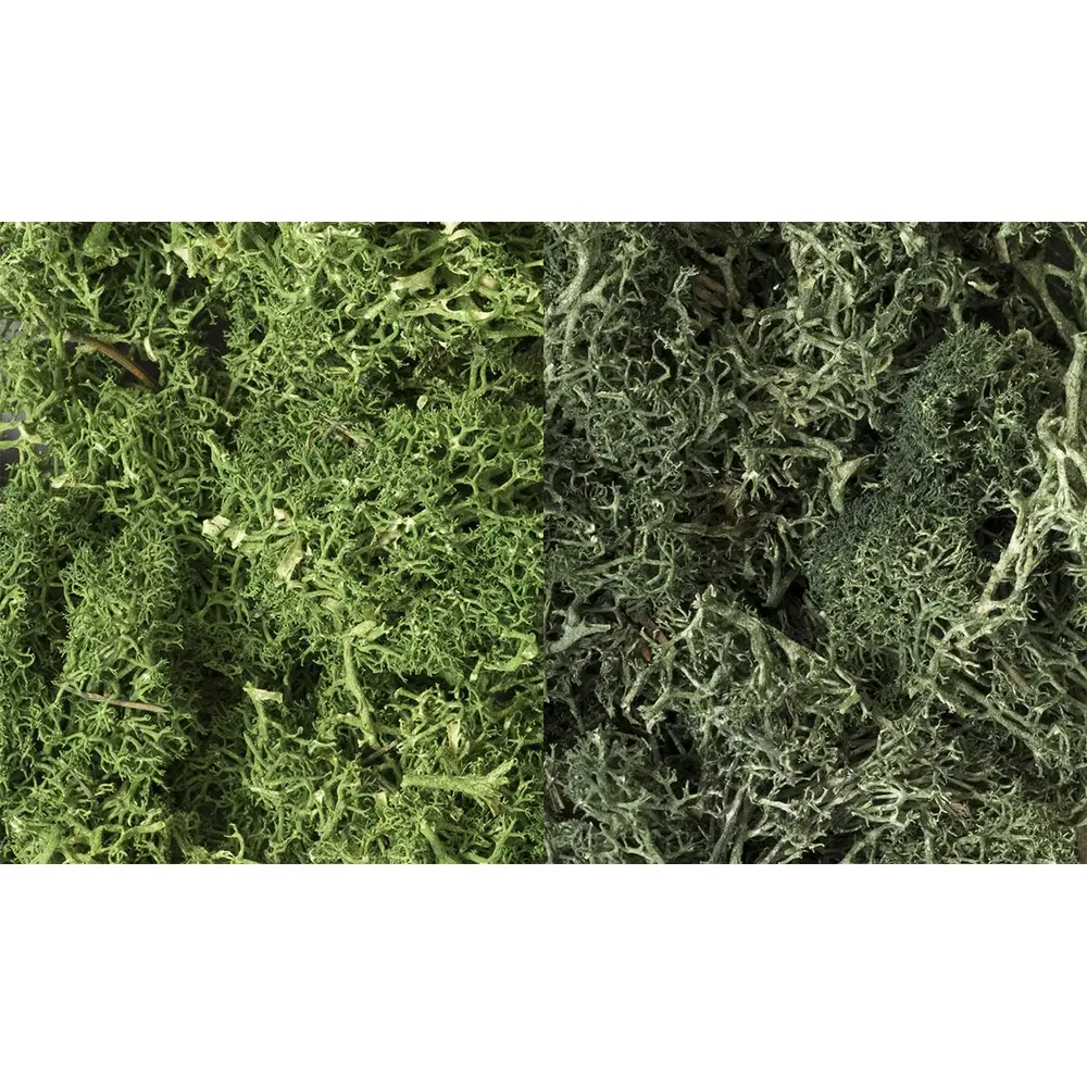 Mousse lichen mix vert/vert foncé - Woodland Scenics L168 - 2L