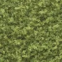Flocage vert clair - Woodland Scenics T1363 - 945ml