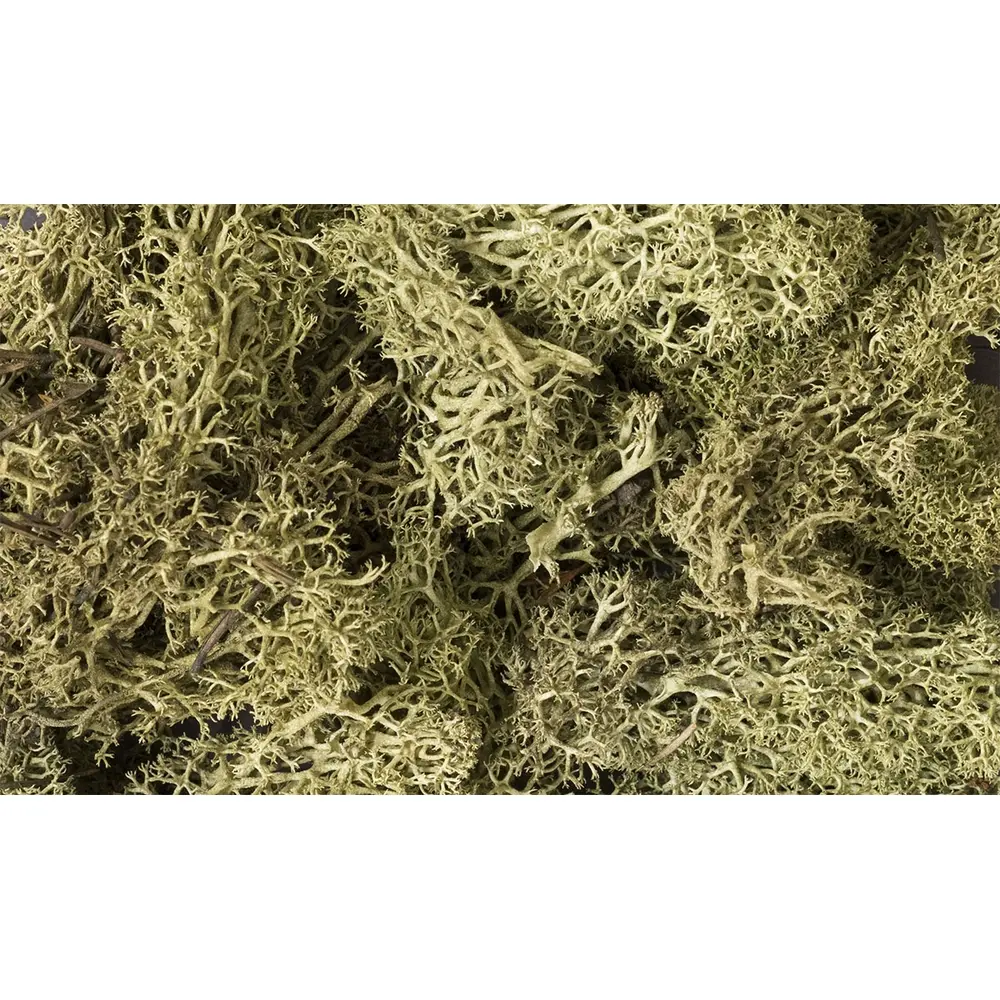 Mousse lichen vert printemps - Woodland Scenics L161 - Toutes échelles - 1,41 L