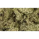 Mousse lichen vert printemps - Woodland Scenics L161 - Toutes échelles - 1,41 L