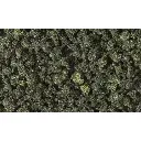 Flocage forestier - Woodland Scenics FC1649 - 945ml